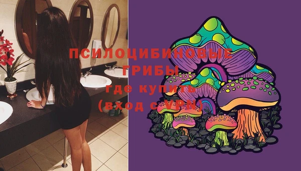 спайс Михайлов
