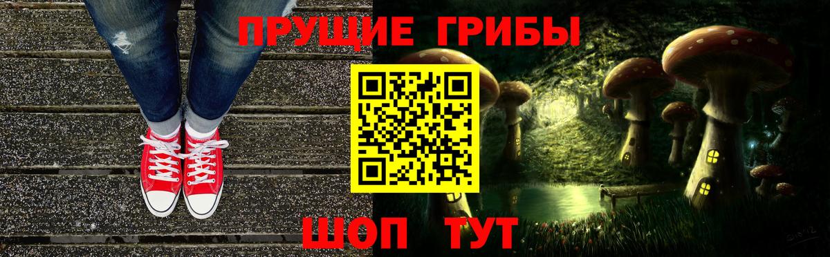 Галлюциногенные грибы прущие грибы Каспийск