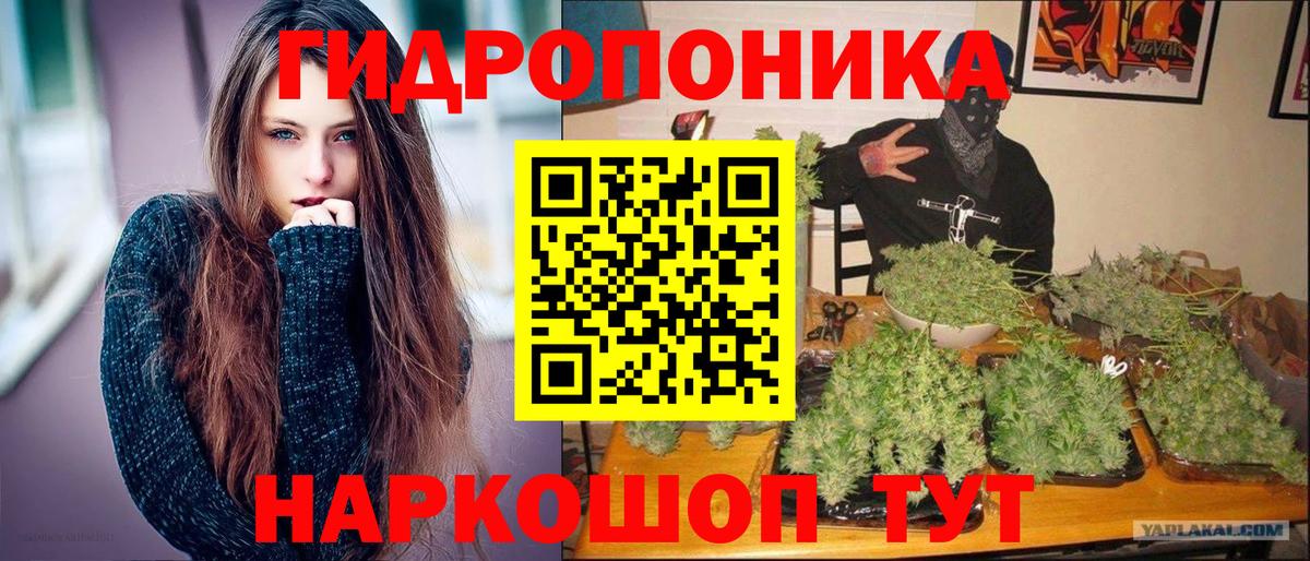 Бошки марихуана гибрид Каспийск